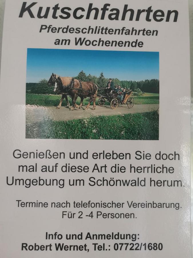 Ferienwohnung Schoene Wohnung 2D-Gebaeude Mit Mini-Garten Schönwalde Eksteriør bilde