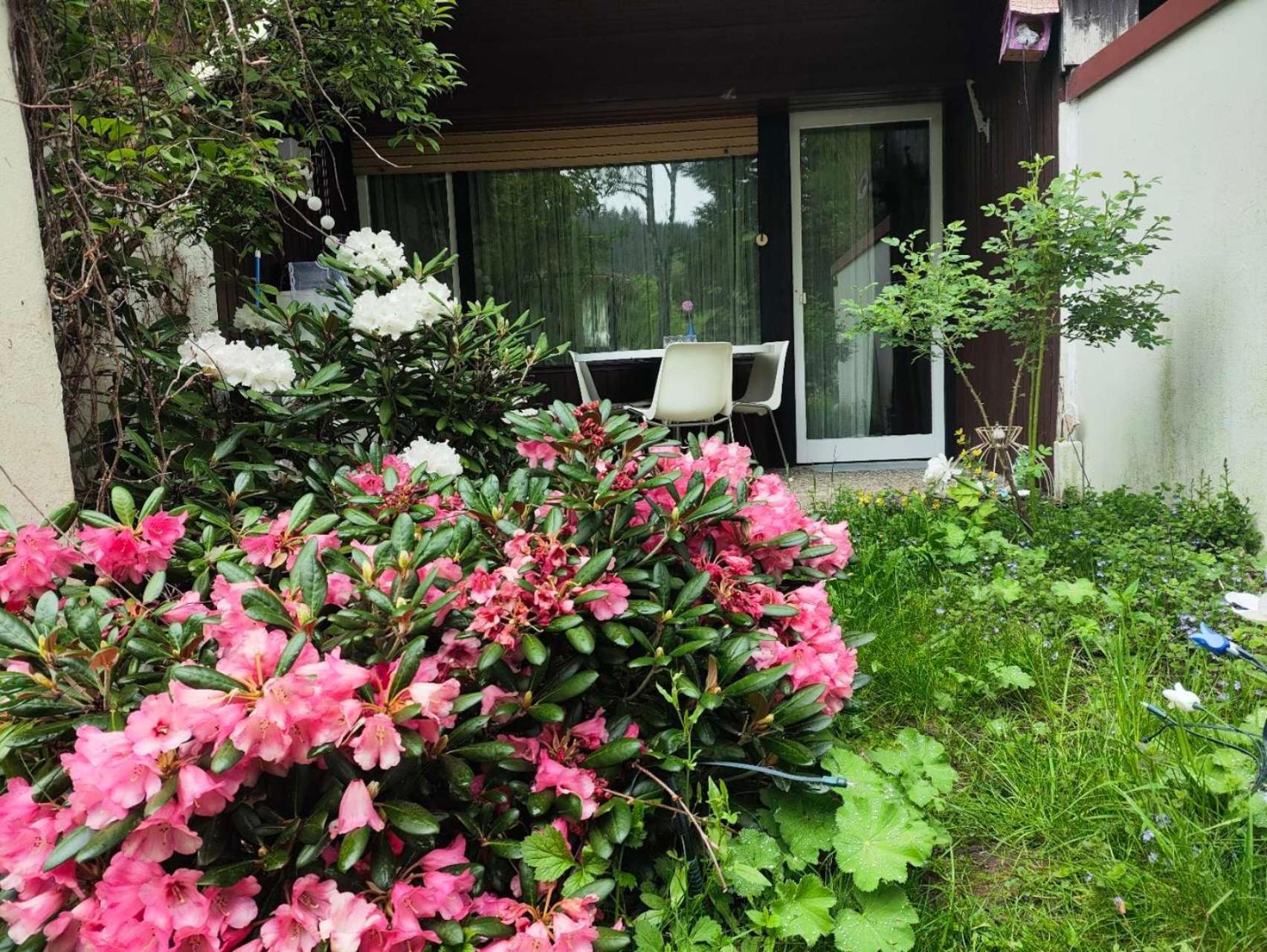 Ferienwohnung Schoene Wohnung 2D-Gebaeude Mit Mini-Garten Schönwalde Eksteriør bilde